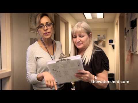 The Watershed: Professionals in Addiction Treatment
