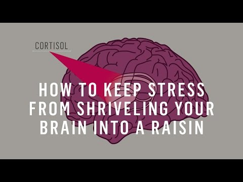 How To Keep Stress From Shriveling Your Brain Into A Raisin