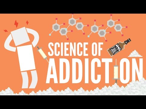 The Science of Addiction